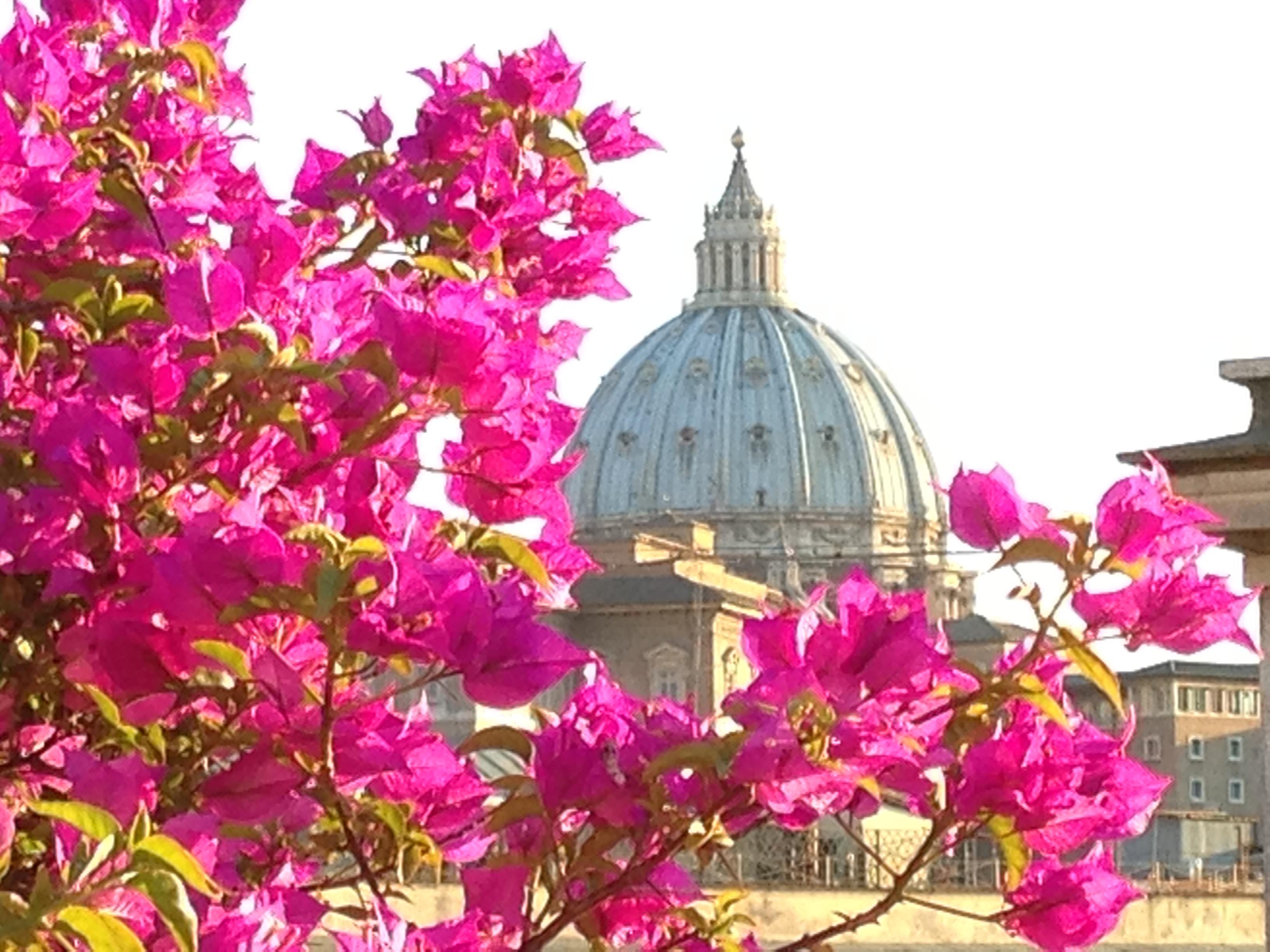 Hotel dei Consoli Vaticano Roma Esterno foto